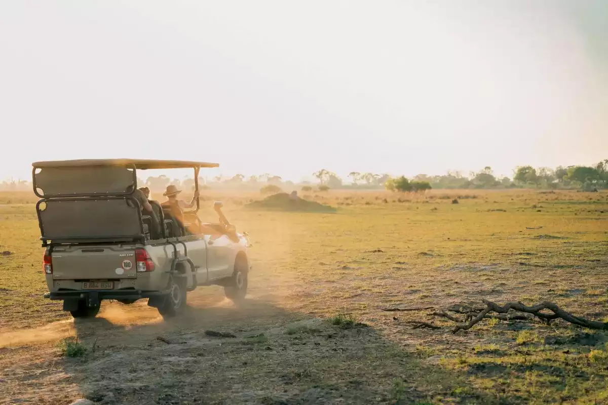 7 Day Fly In Okavango Delta To Vic Falls