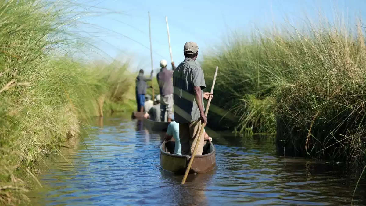 10 Day Botswana To Zambia Luxury Safari