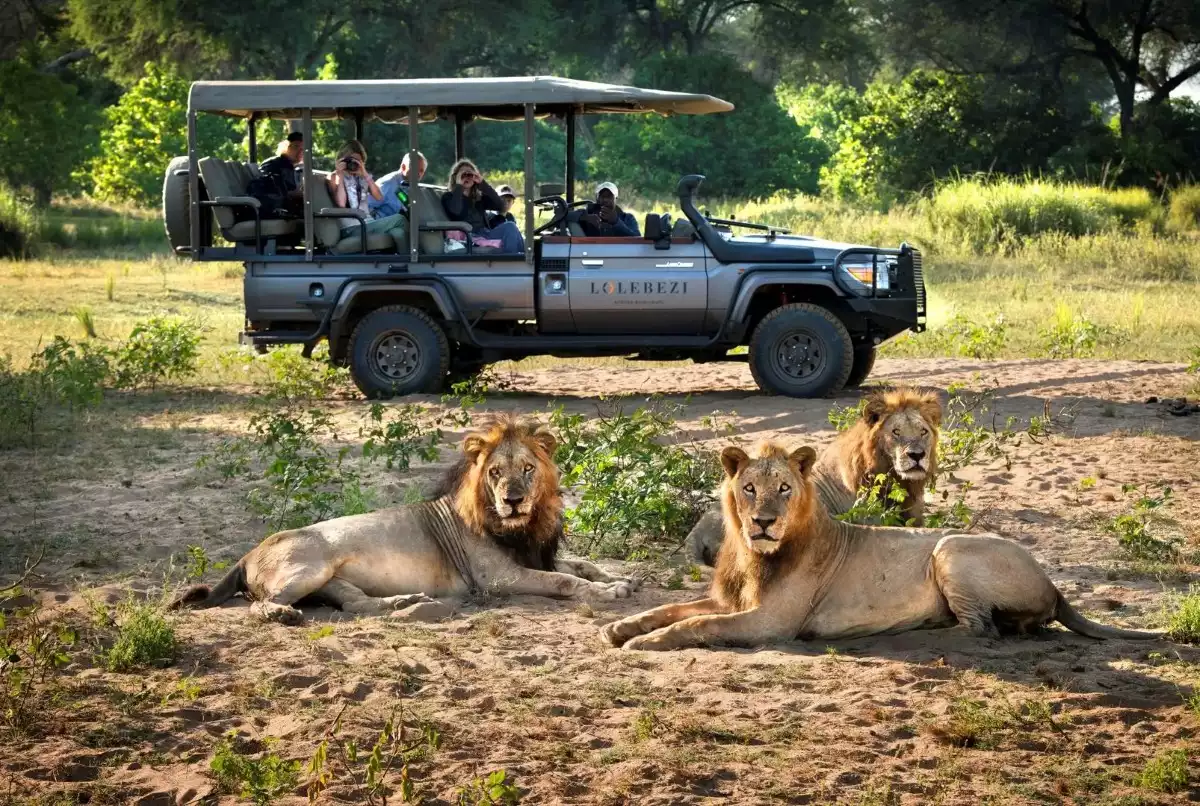 10 Day Botswana To Zambia Luxury Safari