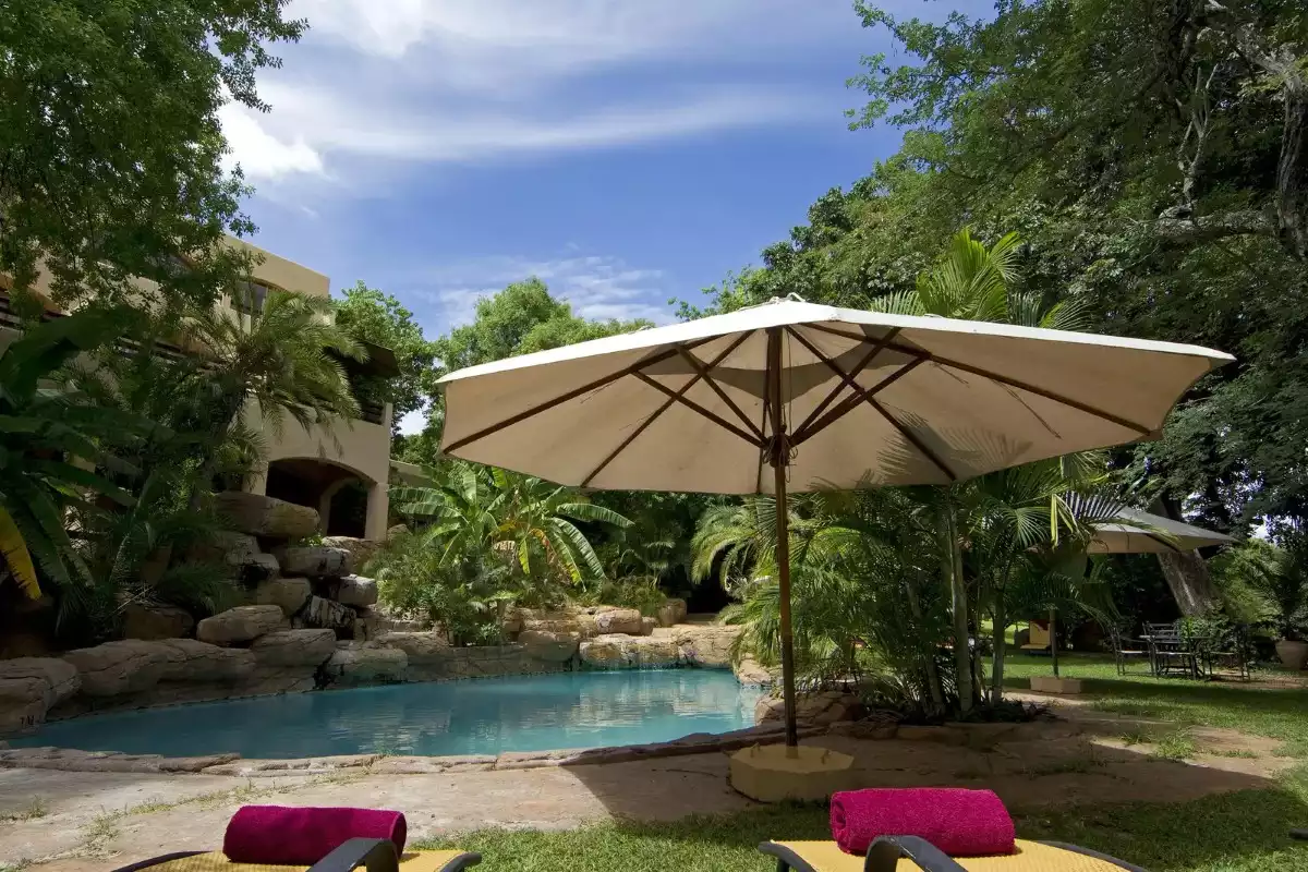 3 Day Chobe Fly In Safari