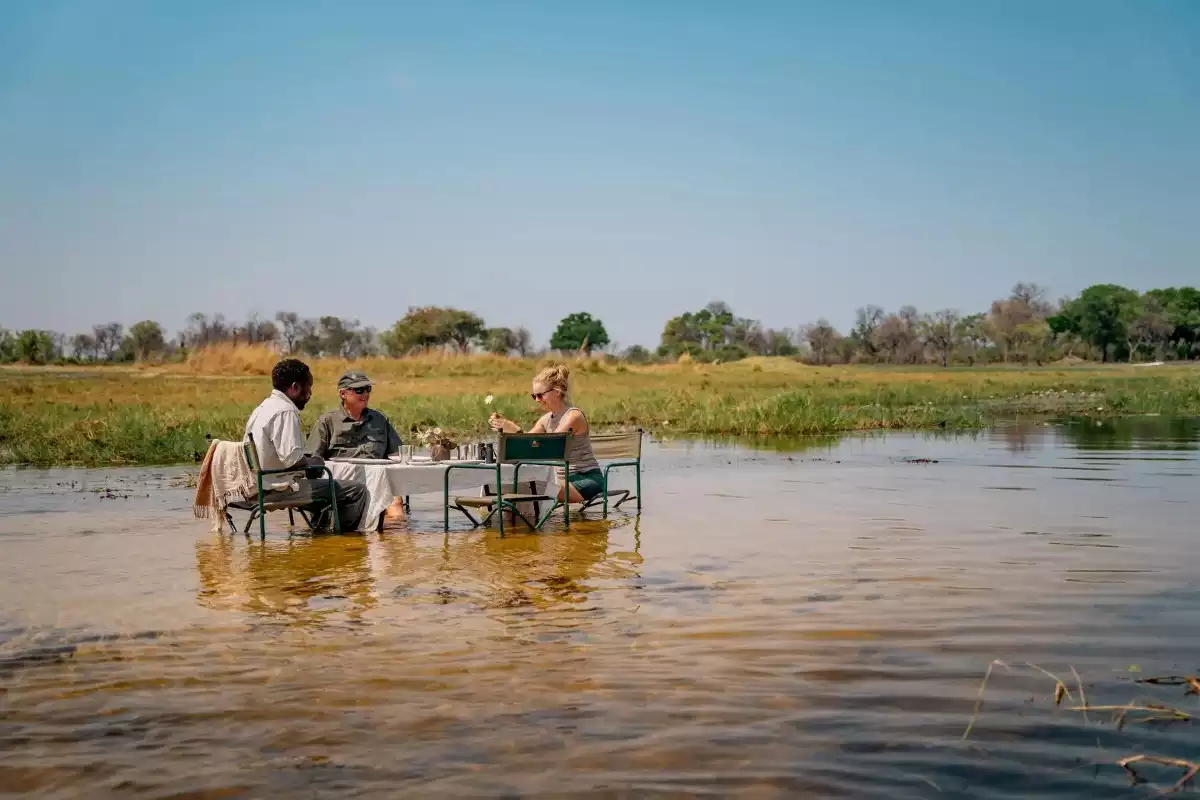 The Luxury 7 Day Fly In Safari Okavango Delta To Vic Falls in Botswana