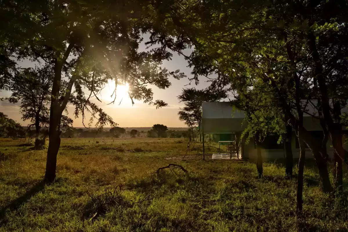 The Luxury 10 Day Bush And Beach Safari in Zanzibar