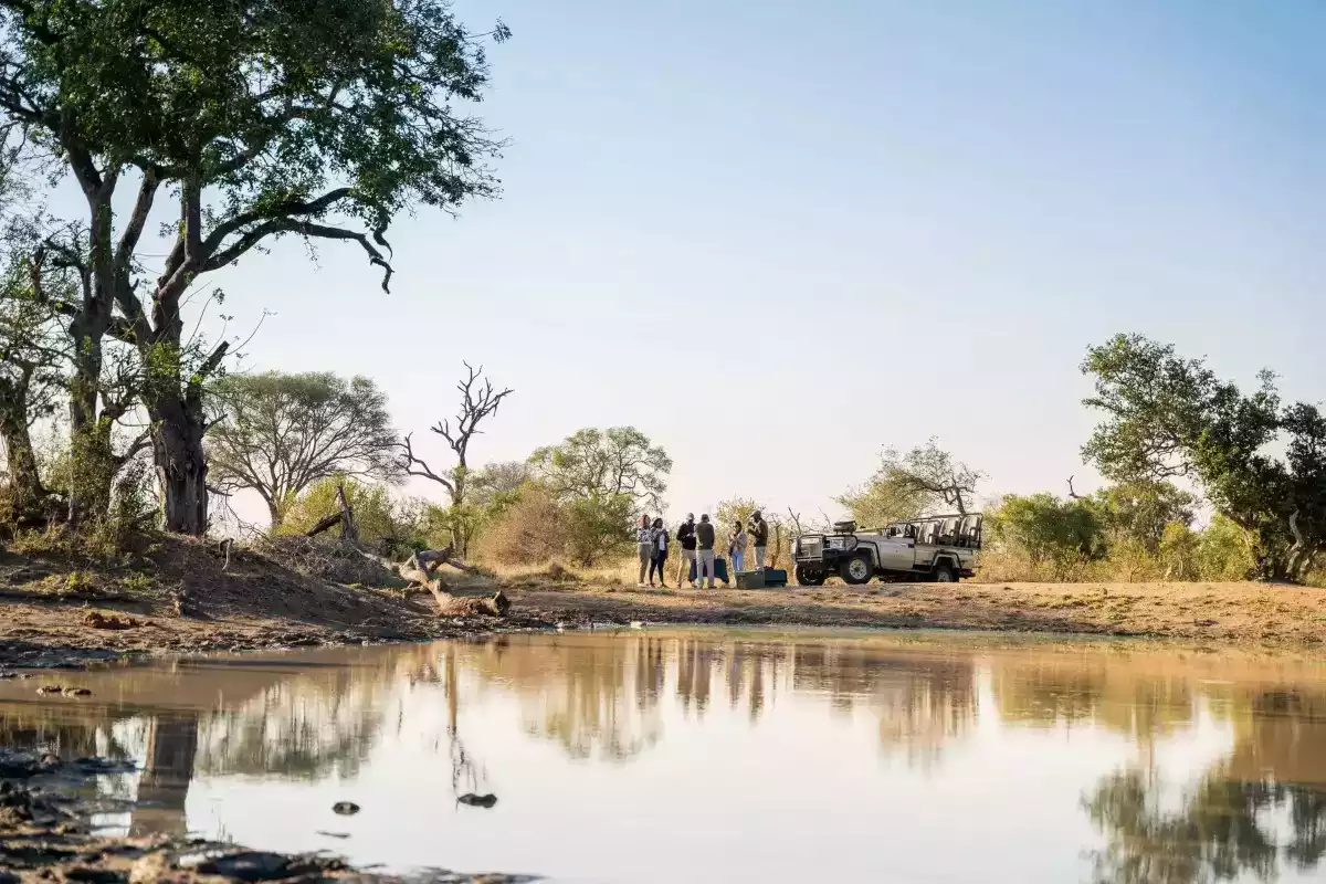 6 Day Bush And Beach Safari