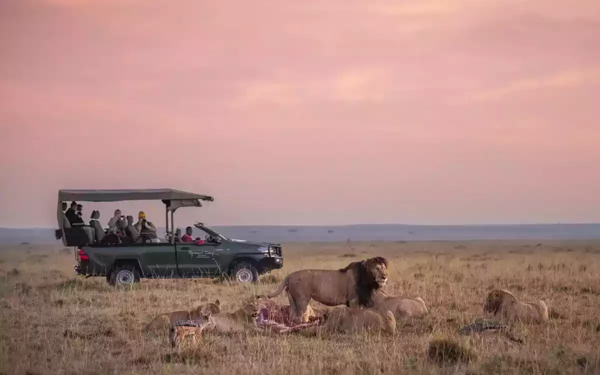 The Luxury 7 Day Luxury Masai Mara To Zanzibar in Zanzibar