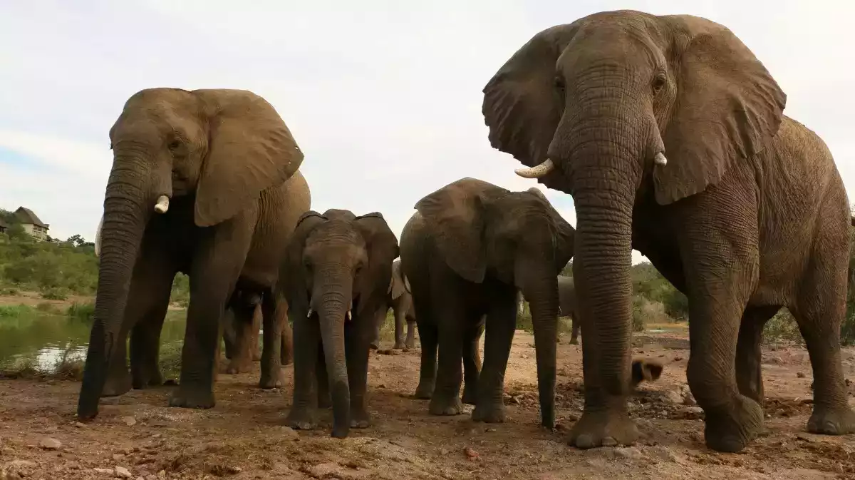 8 Day Victoria Falls And Mauritius Combo