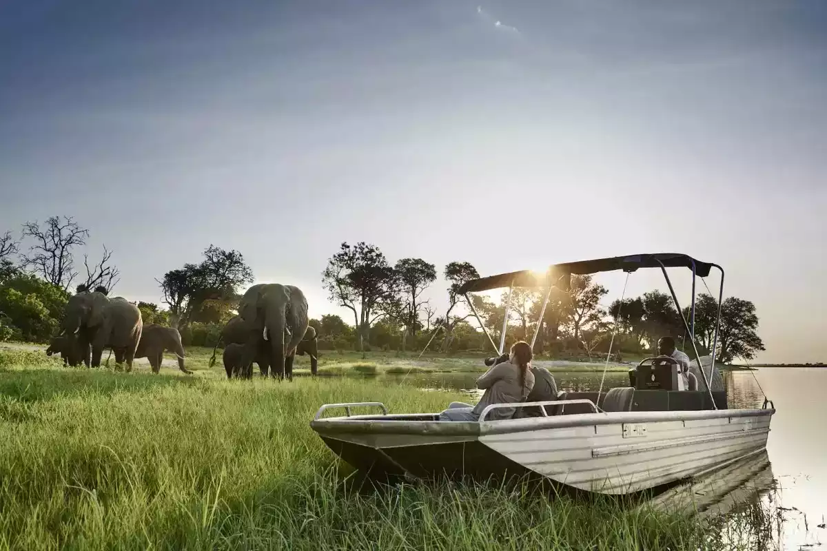 The Luxury 6 Day Luxury Victoria Falls And Chobe in Chobe National Park