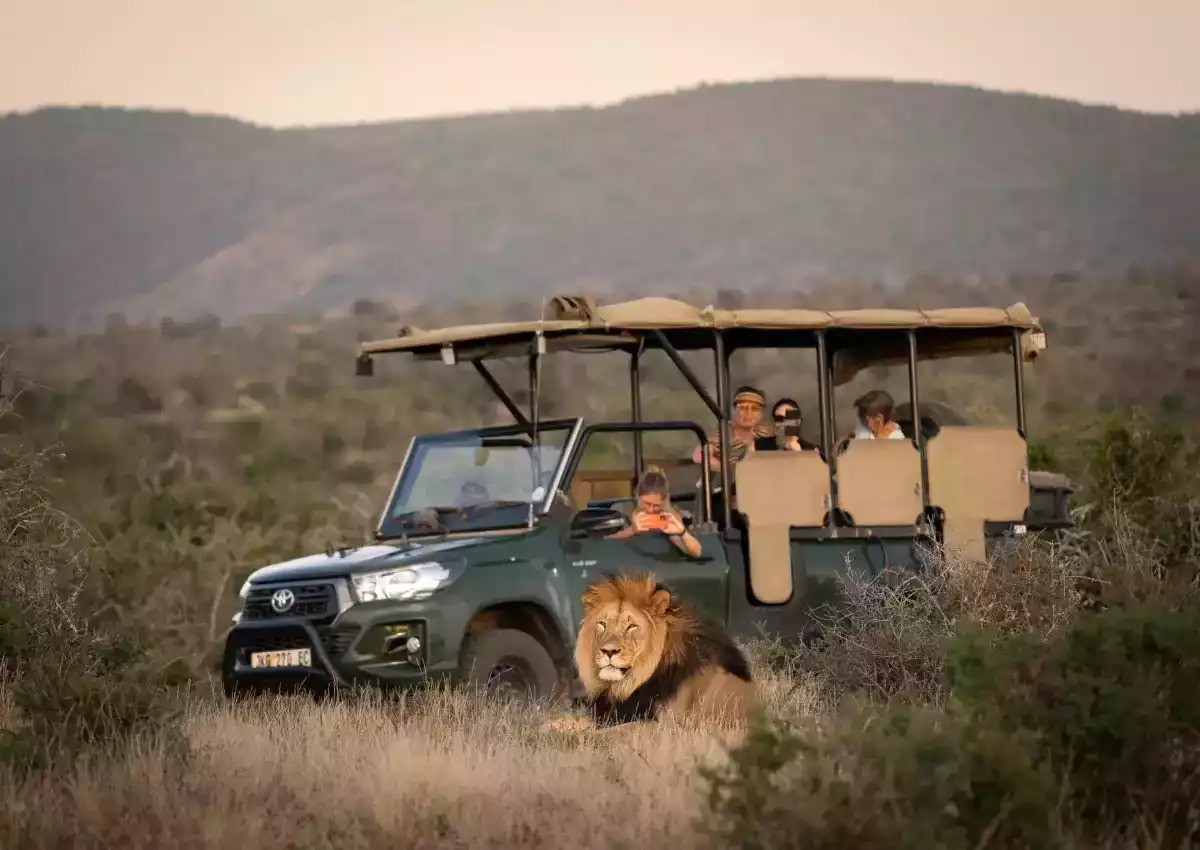 The Luxury 6 Day Cape Town to Pt Elizabeth Fly In in South Africa