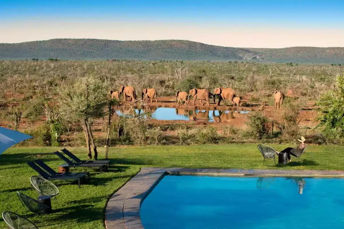 The Luxury 7 Day Madikwe And Cape Town in South Africa