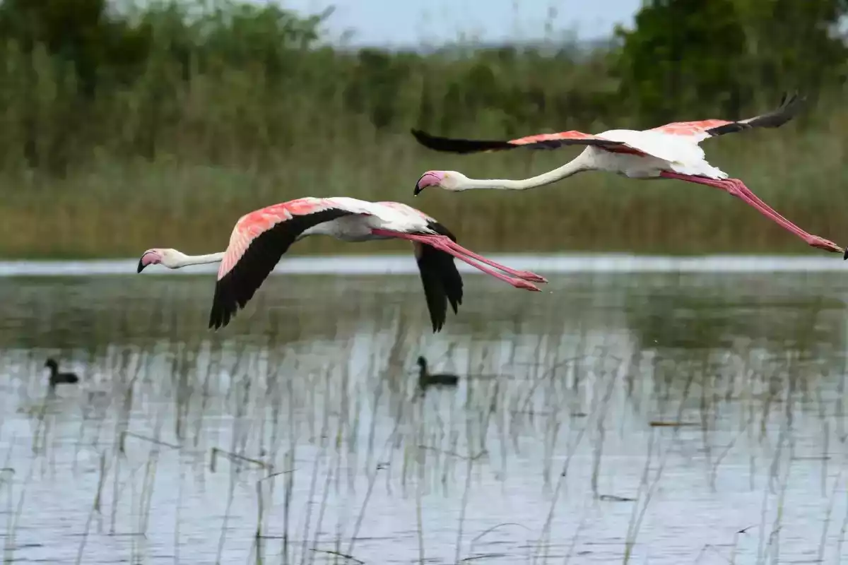 8 Day Durban, Bayala And St Lucia