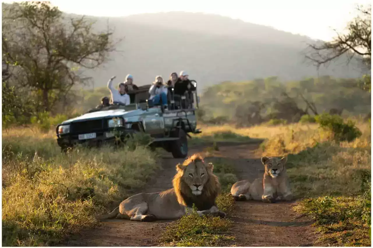 8 Day Durban, Bayala And St Lucia