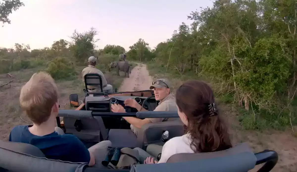 5 Day Fly In Sabi Sand Safari