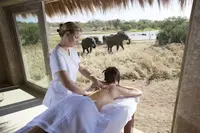Being pampered while watching elephants on safari in Africa