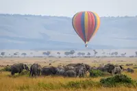 Picture of hot air balloon on safari in Africa
