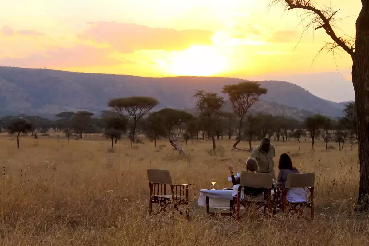 The Luxury 10 Day Luxury Fly In Kenya And Tanzania Tour in Tanzania