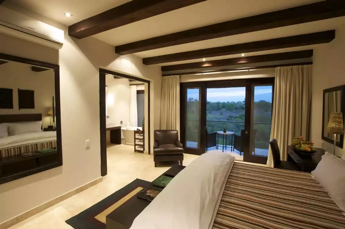 3 Day Kapama Fly In Safari