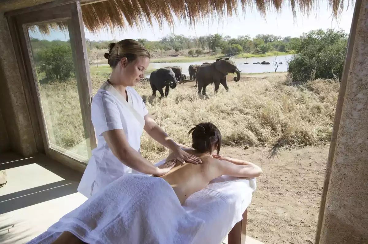 3 Day Kapama Fly In Safari