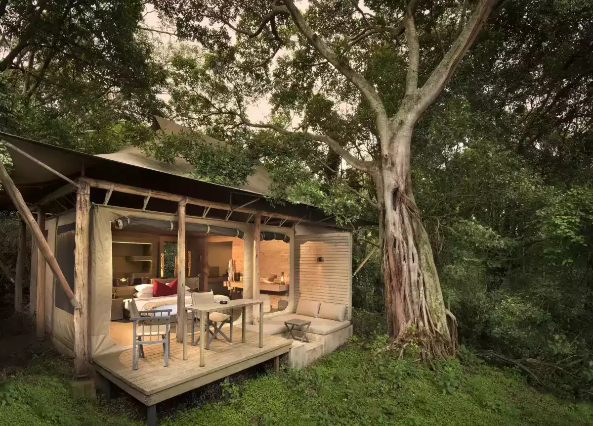 10 Day Best Of East Africa and Migration