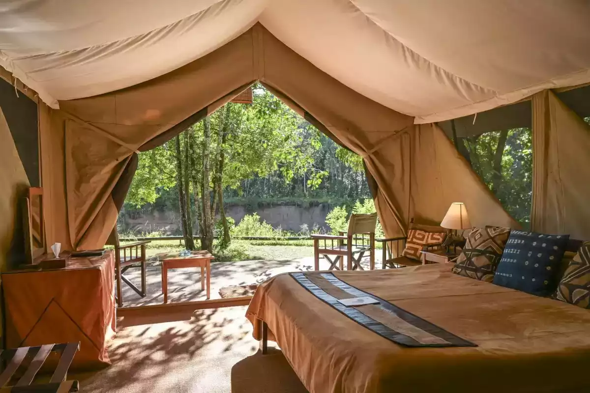 7 Day Masai Mara To Zanzibar Safari