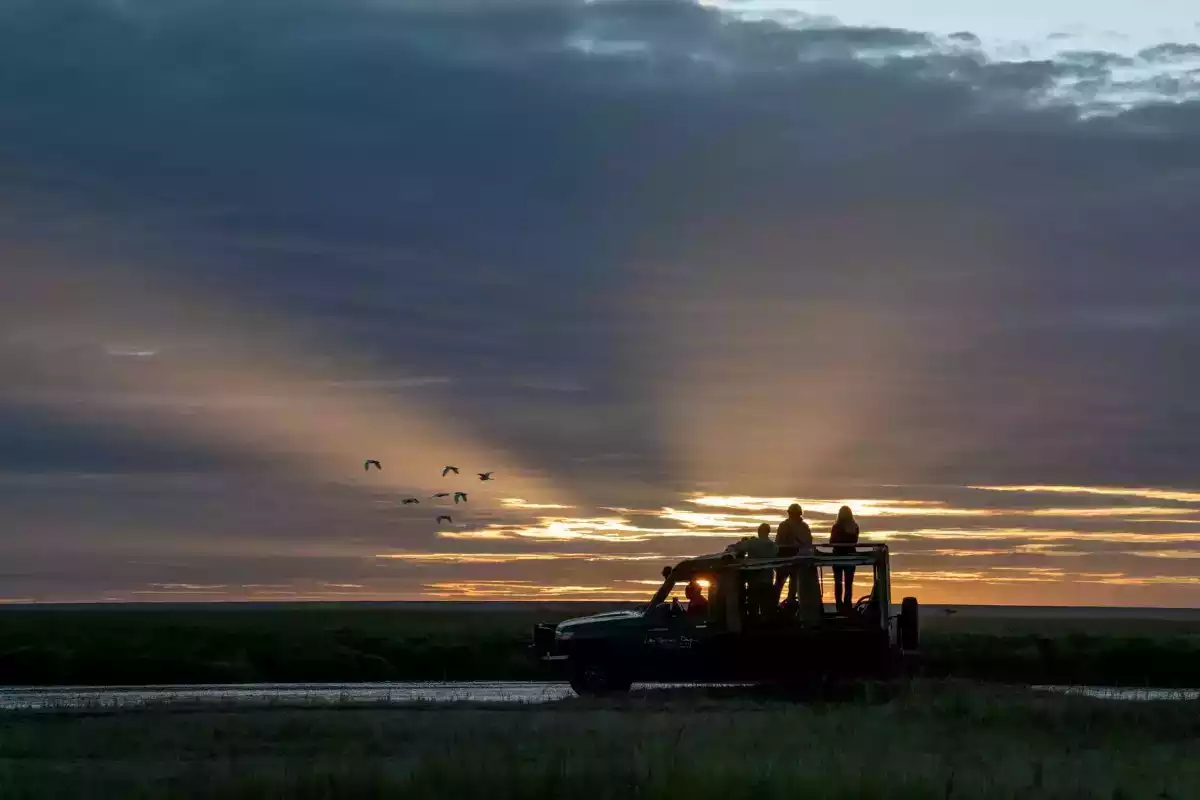 7 Day Masai Mara To Zanzibar Safari