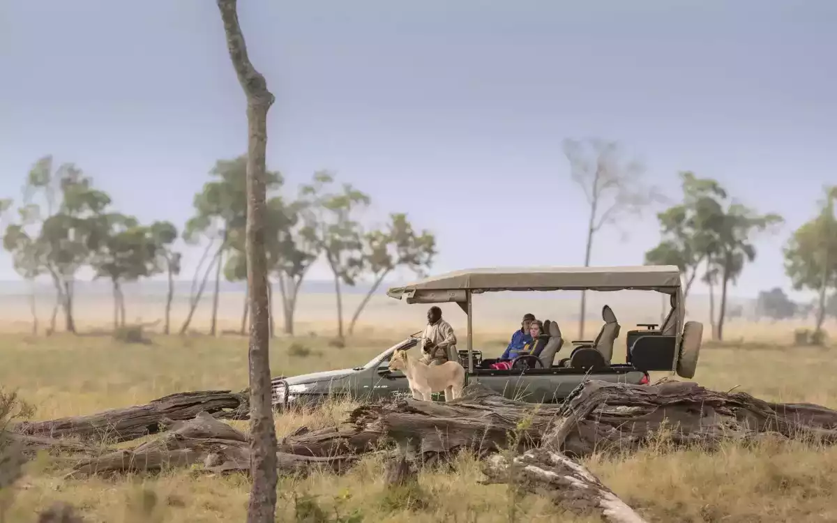 7 Day Masai Mara To Zanzibar Safari