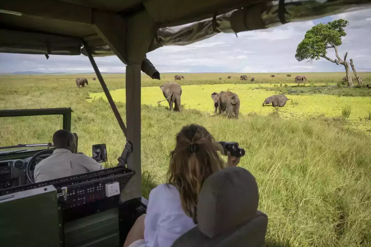 7 Day Masai Mara To Zanzibar Safari