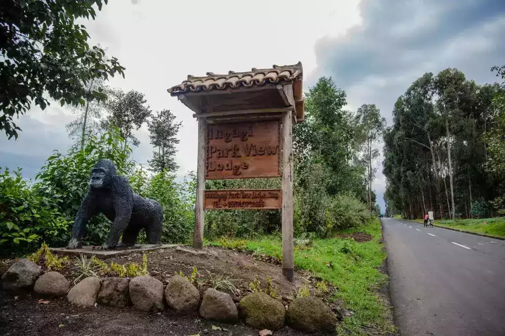 9 Day Kenya And Rwanda Safari, Big Five and Gorillas