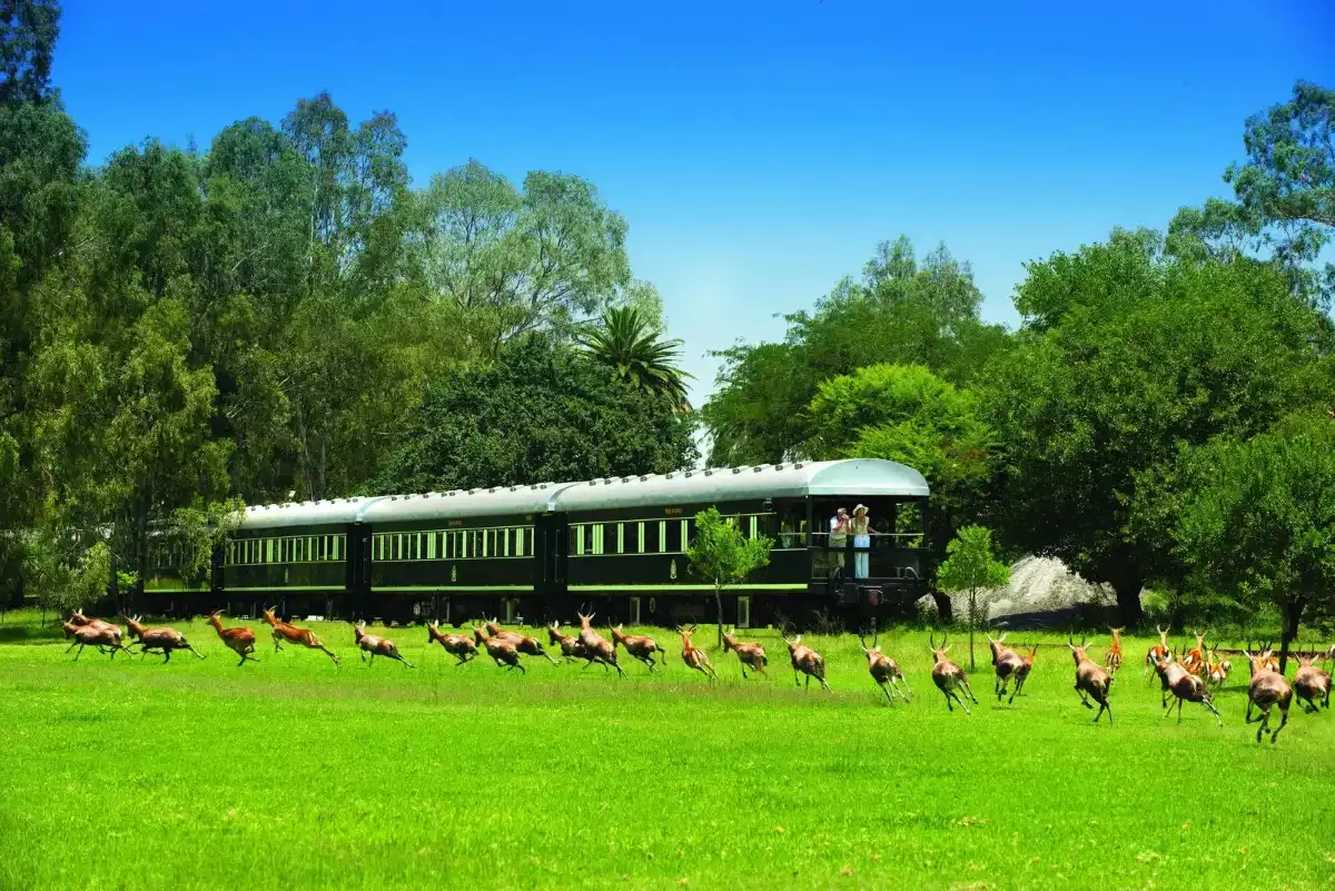 4 Day Victoria Falls Rovos Rail Journey