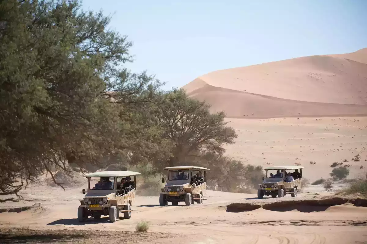 10 Day Namibia Must See Luxury Safari