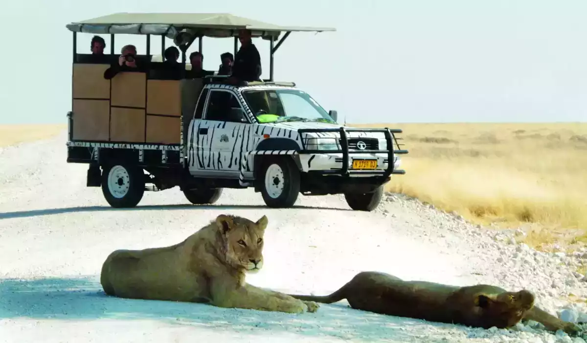 10 Day Namibian Highlights Tour