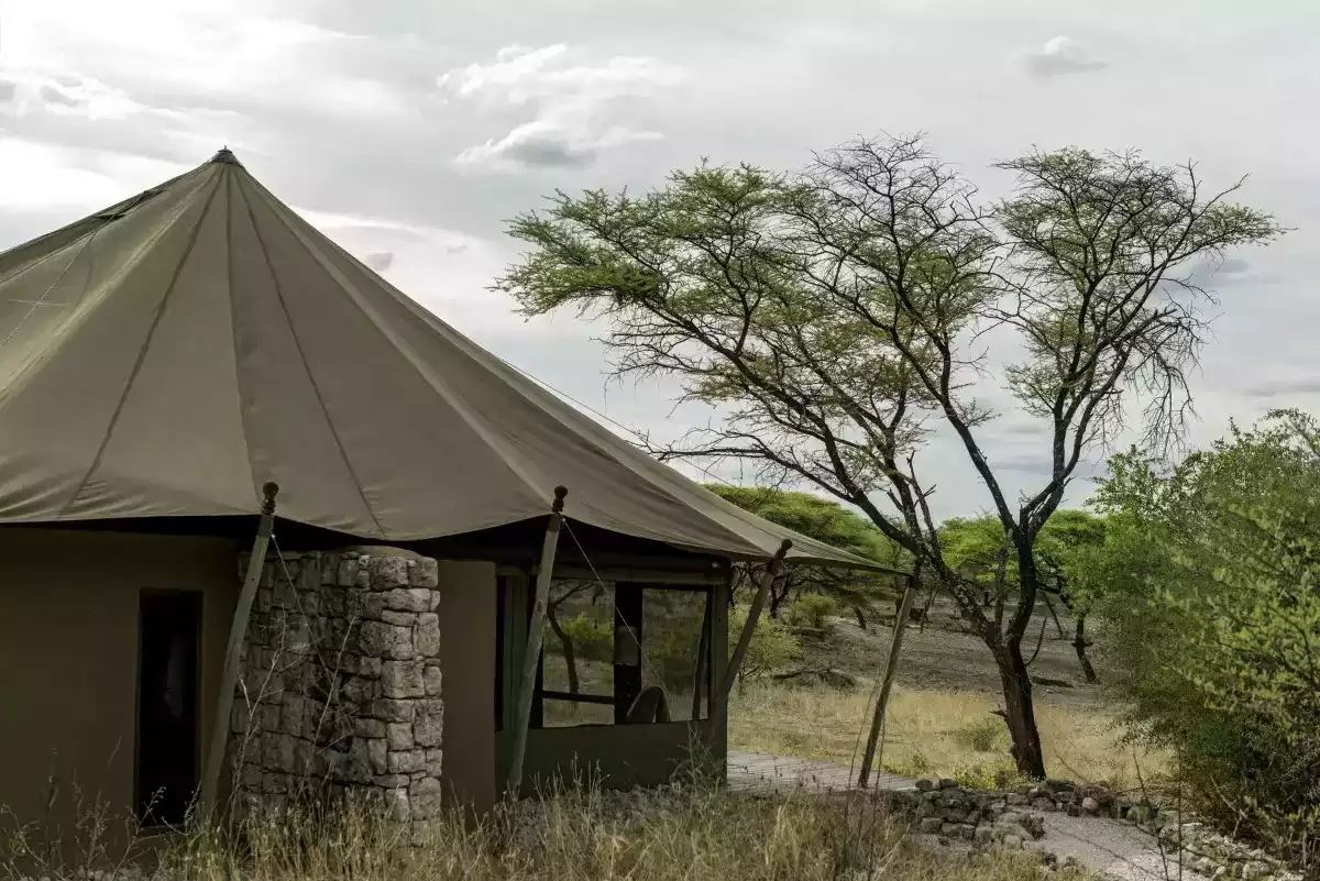 4 Day Onguma Tented Camp Fly In