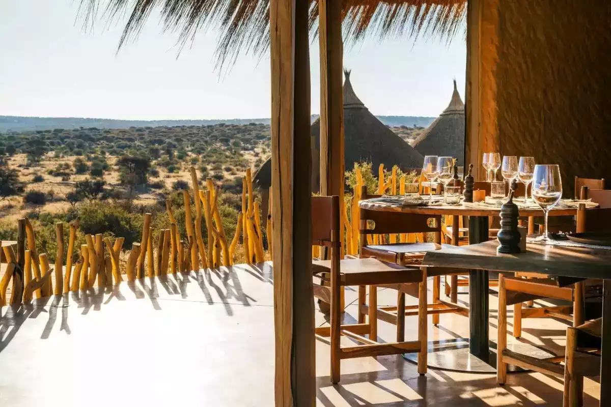 4 Day Zannier Omaanda Safari