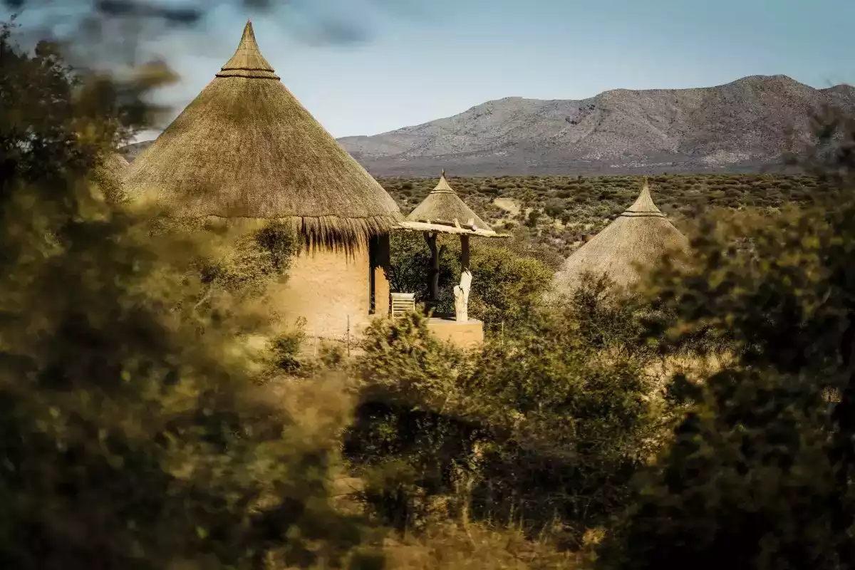 4 Day Zannier Omaanda Safari