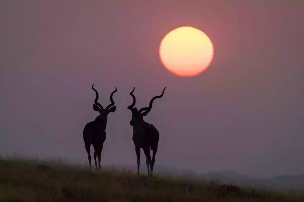 9 Day Diverse Namibia