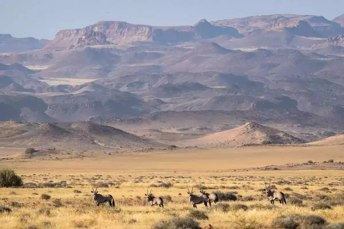 9 Day Diverse Namibia
