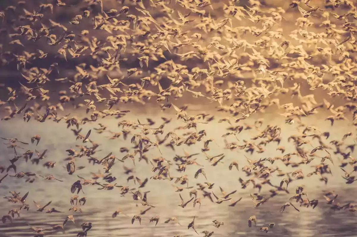 9 Day Diverse Namibia