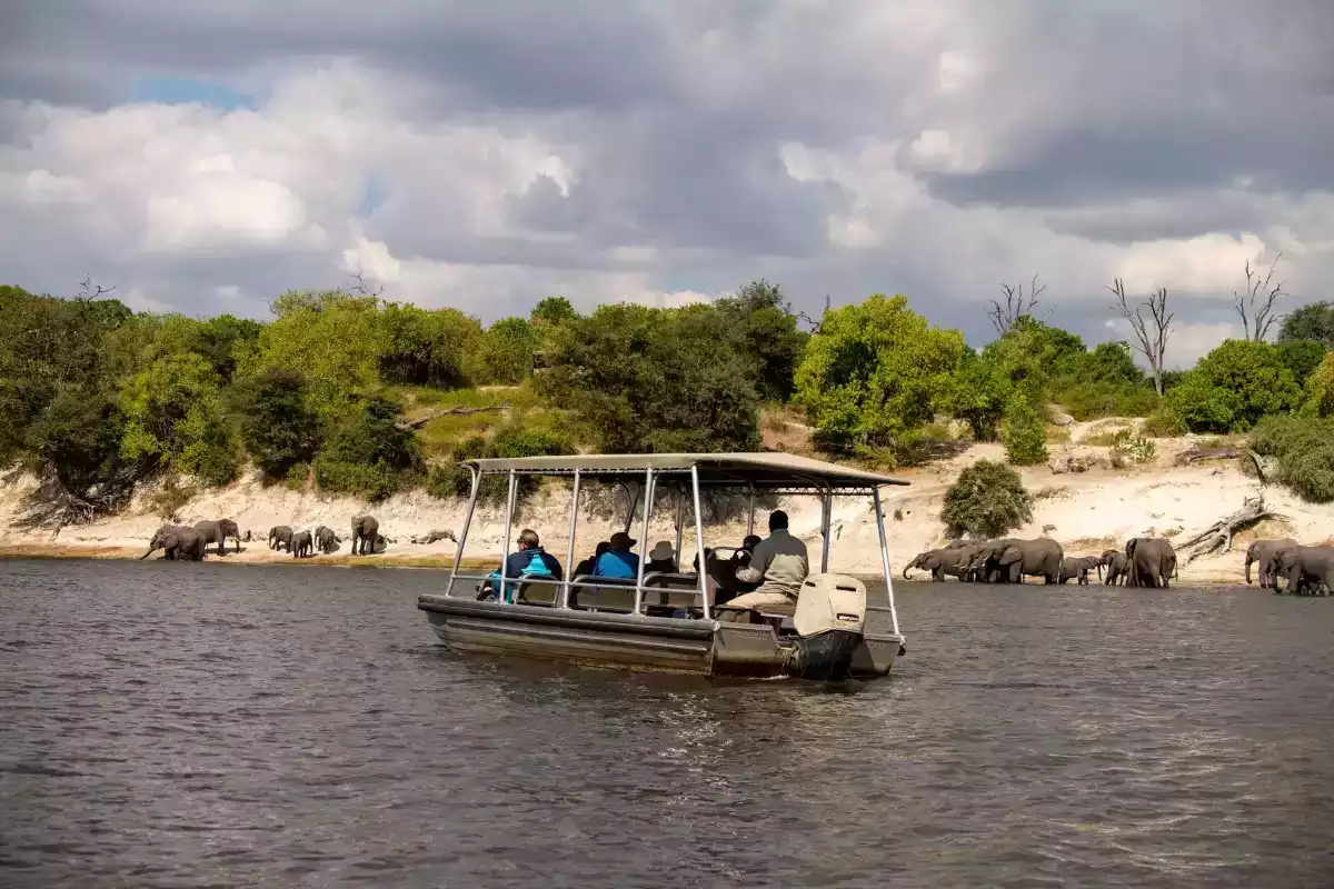 11 Day Victoria Falls To Okavango