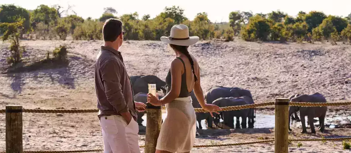 The Luxury 7 Day Chobe And Okavango Safari in Okavango Delta