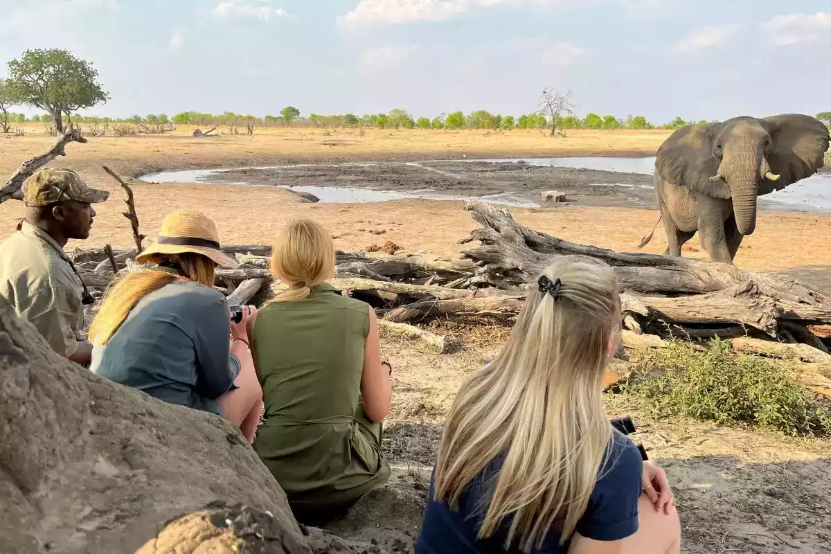 7 Day Fly In Okavango Delta to Vic Falls