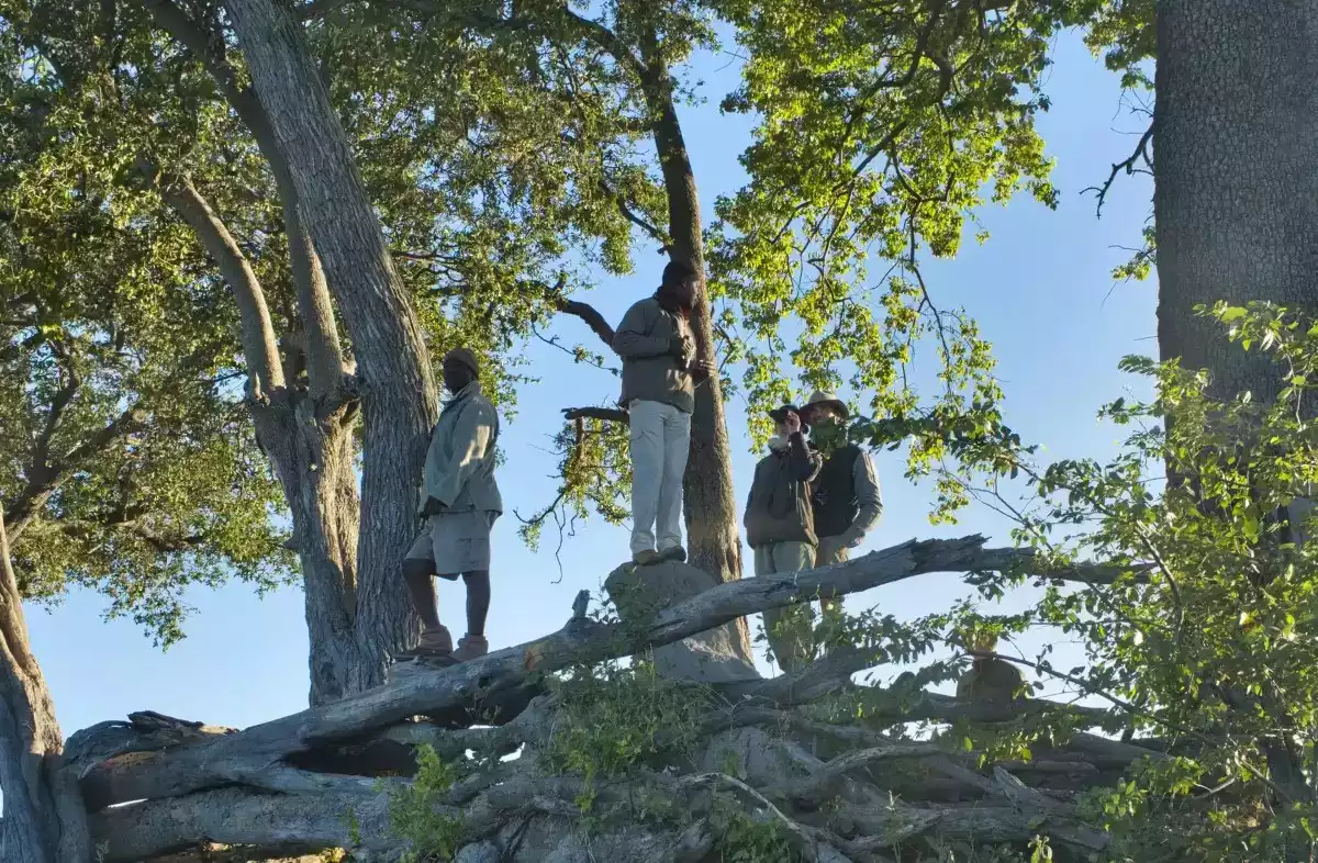 7 Day Fly In Okavango Delta to Vic Falls