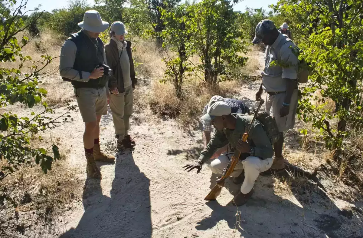 7 Day Fly In Okavango Delta to Vic Falls