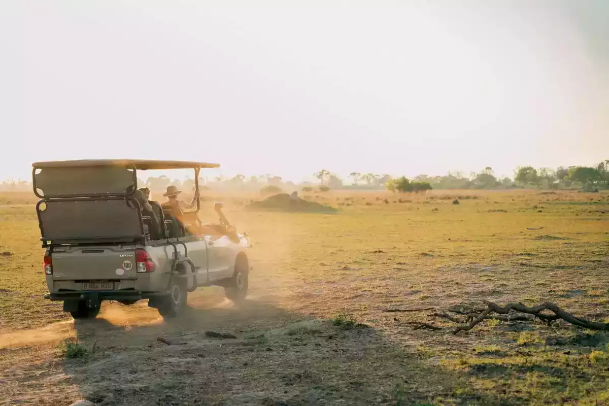 7 Day Fly In Okavango Delta to Vic Falls