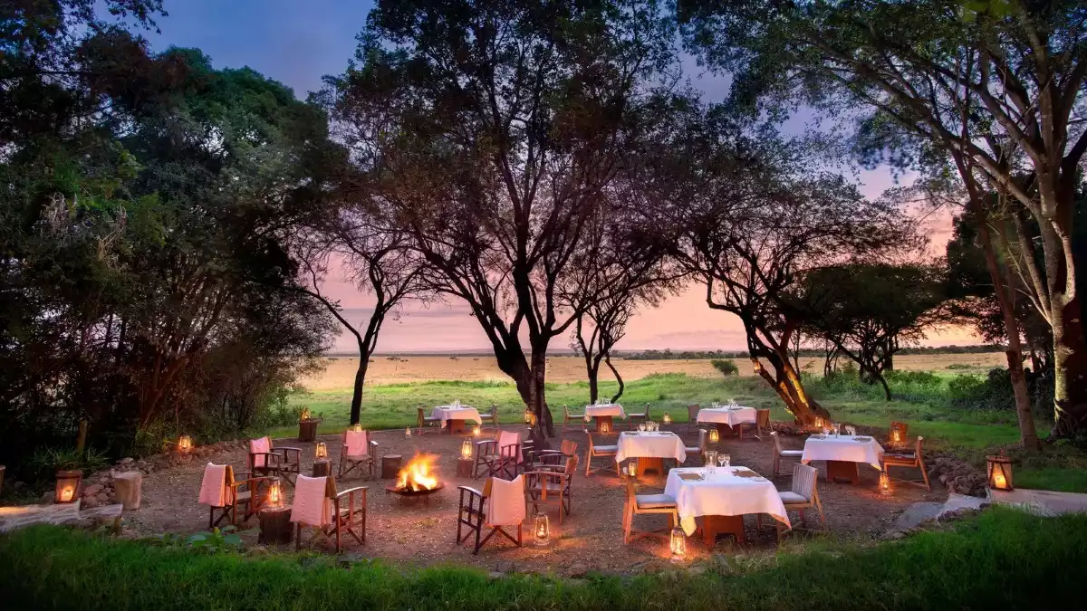 The Luxury 9 Day Masai Mara, Serengeti And Manyara in Tanzania