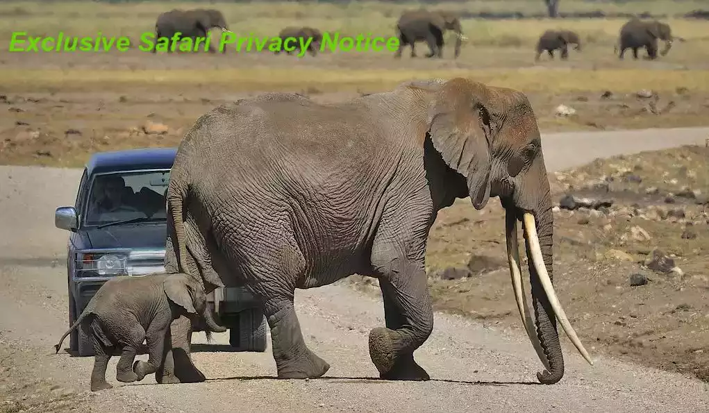 about exclusive safari and our luxury safari lodges