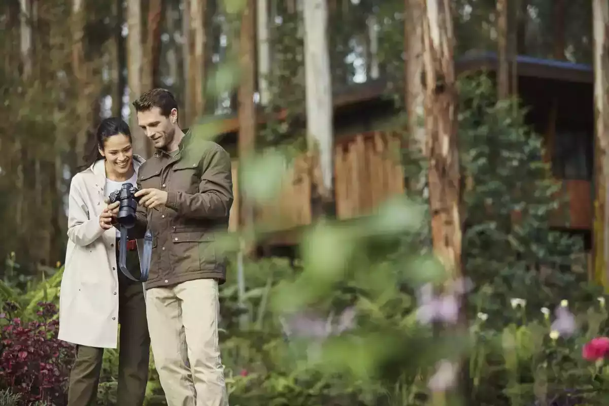 6 Day Gorilla and Chimpanzees Trekking in Nyungwe Forest