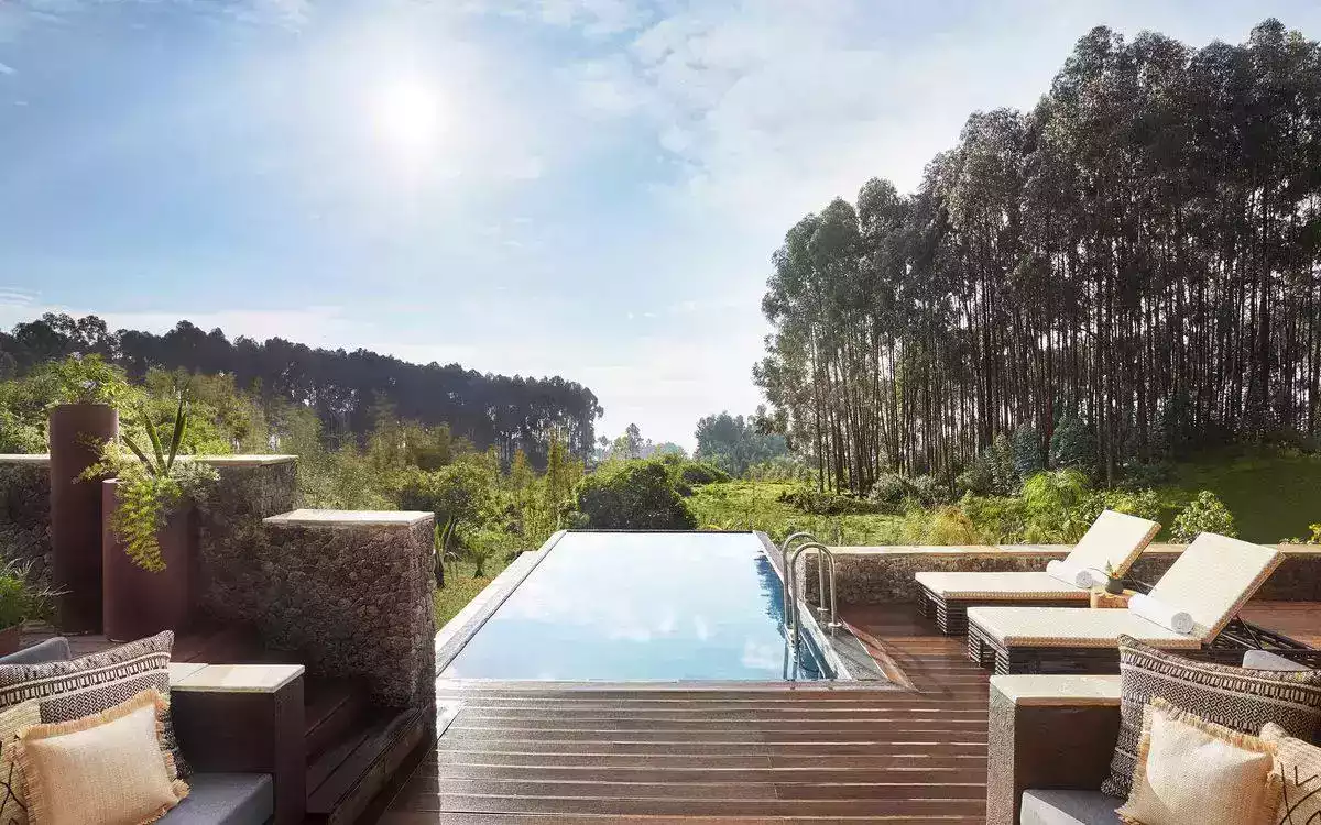 6 Day Gorilla and Chimpanzees Trekking in Nyungwe Forest