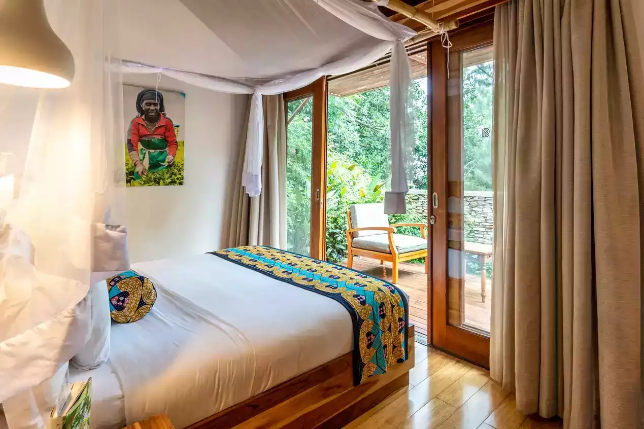 6 Day Gorilla and Chimpanzees Trekking in Nyungwe Forest