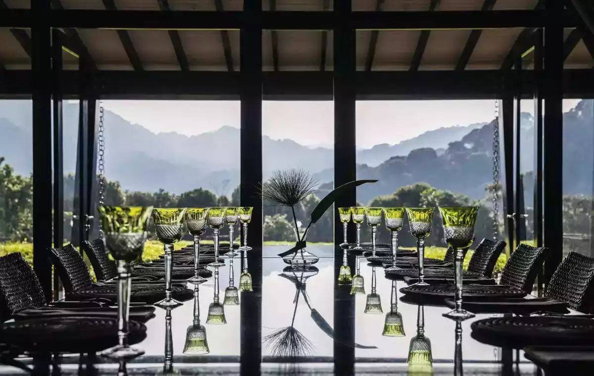 6 Day Gorilla and Chimpanzees Trekking in Nyungwe Forest