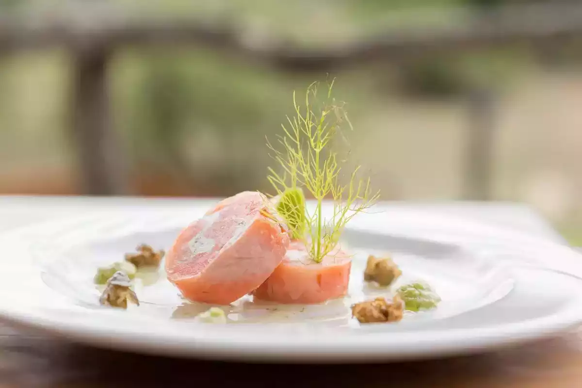 3 Day Mala Mala Big 5 Safari