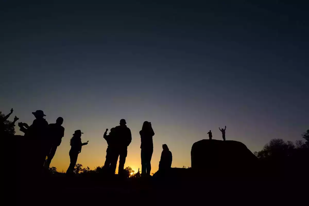 3 Day Mala Mala Big 5 Safari