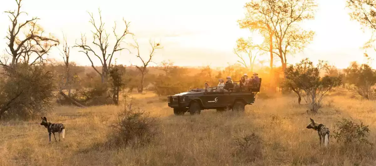 3 Day Mala Mala Big 5 Safari